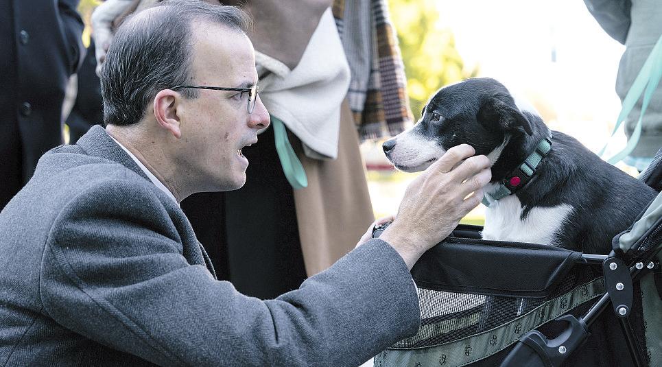 Legislation cracks down on hidden puppy pipeline