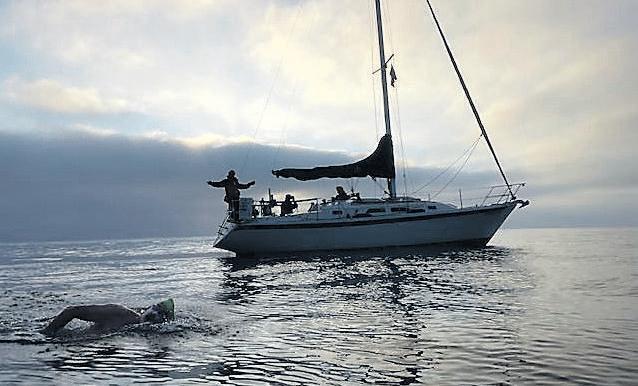 Word from a Wise man: Make friends with sharks and the sea