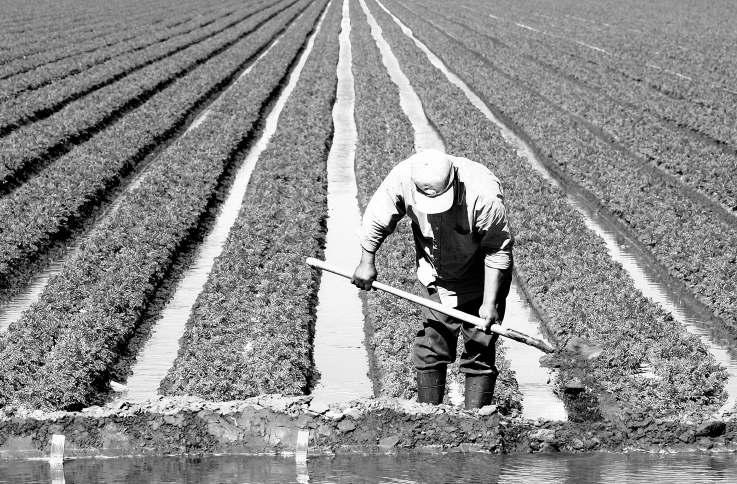 Rich farm region becomes a deadly hot spot for workers