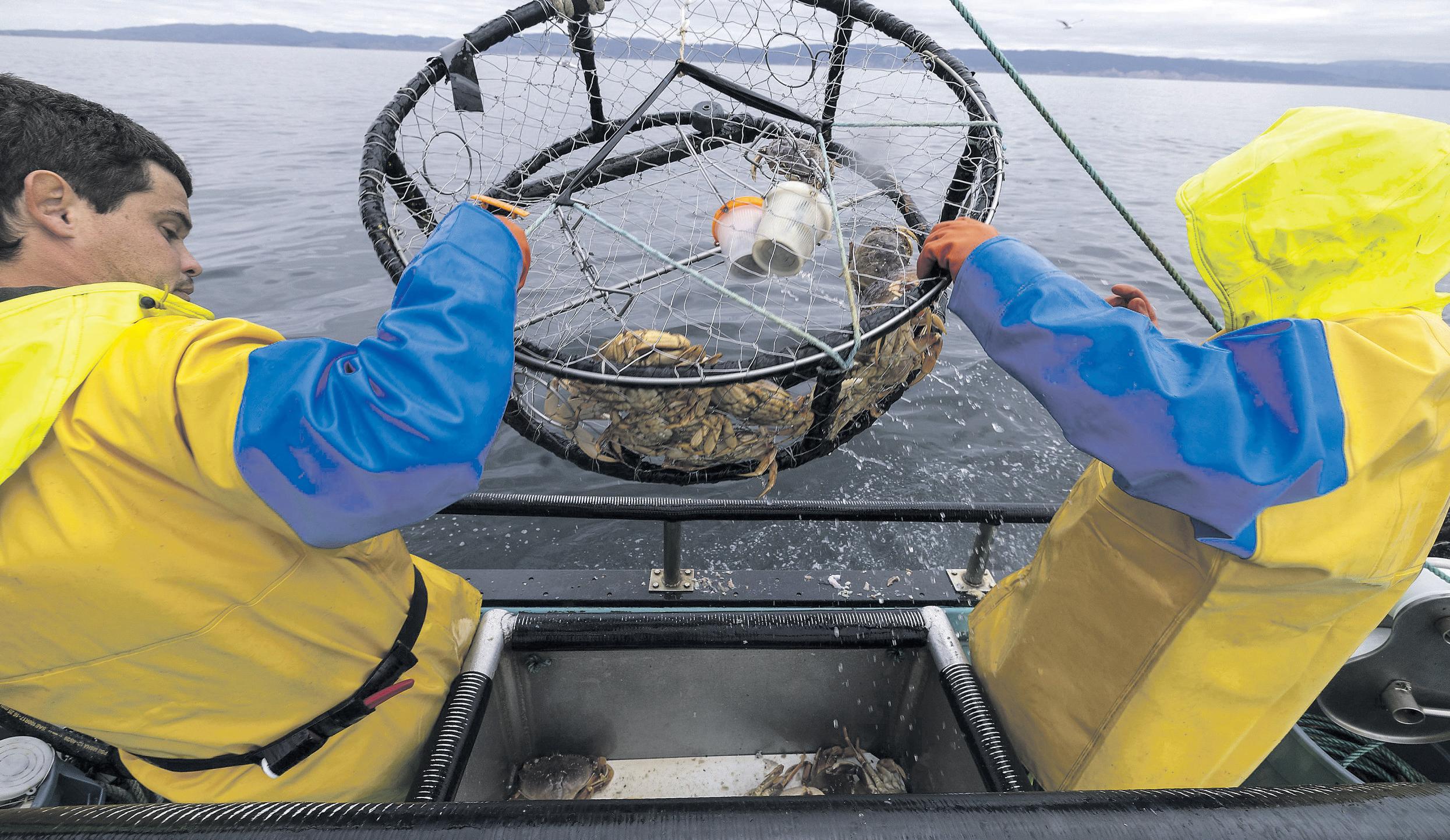 A delay for California crab season