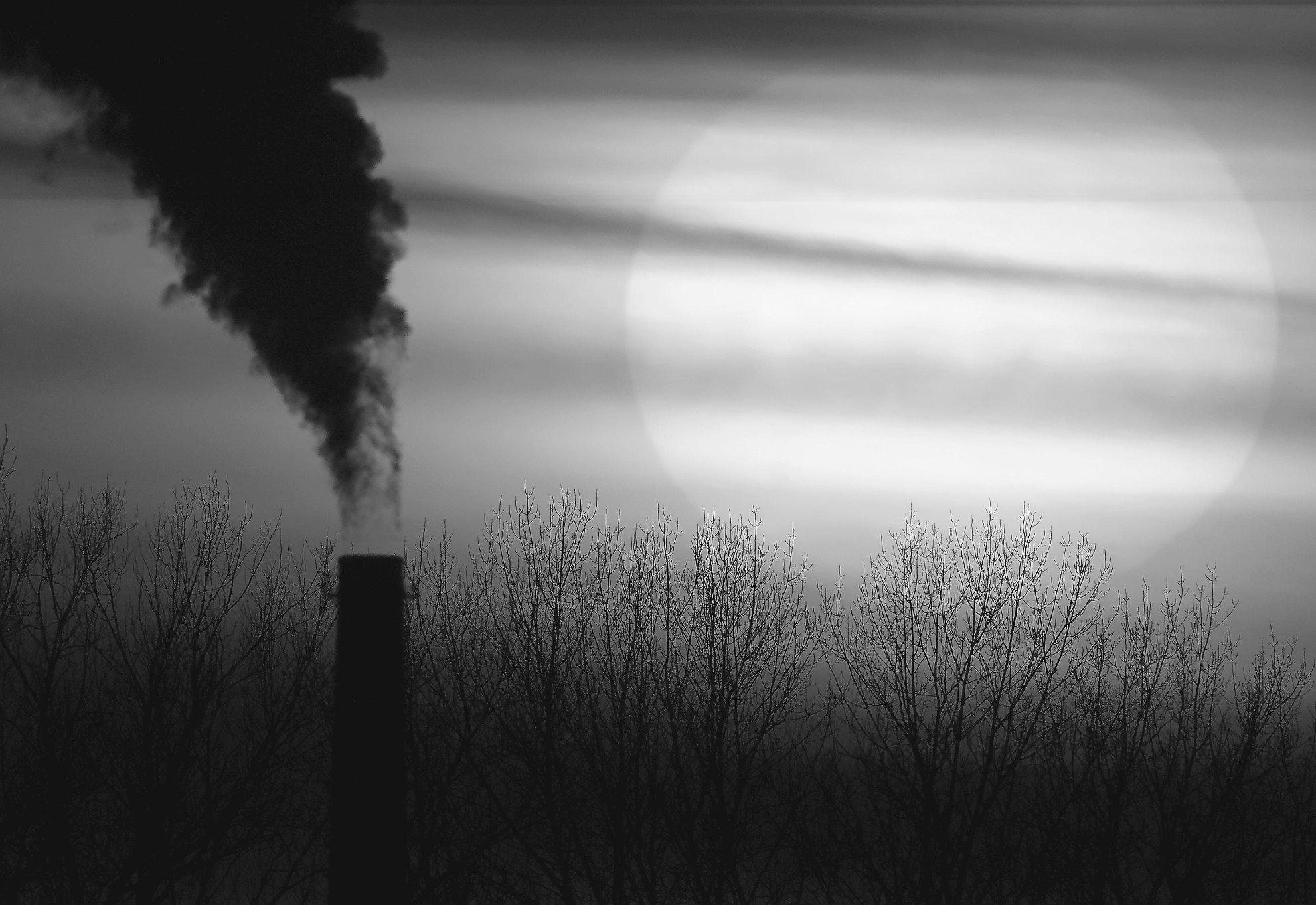 More fossil fuels were burned in '24 than ever before, scientists say