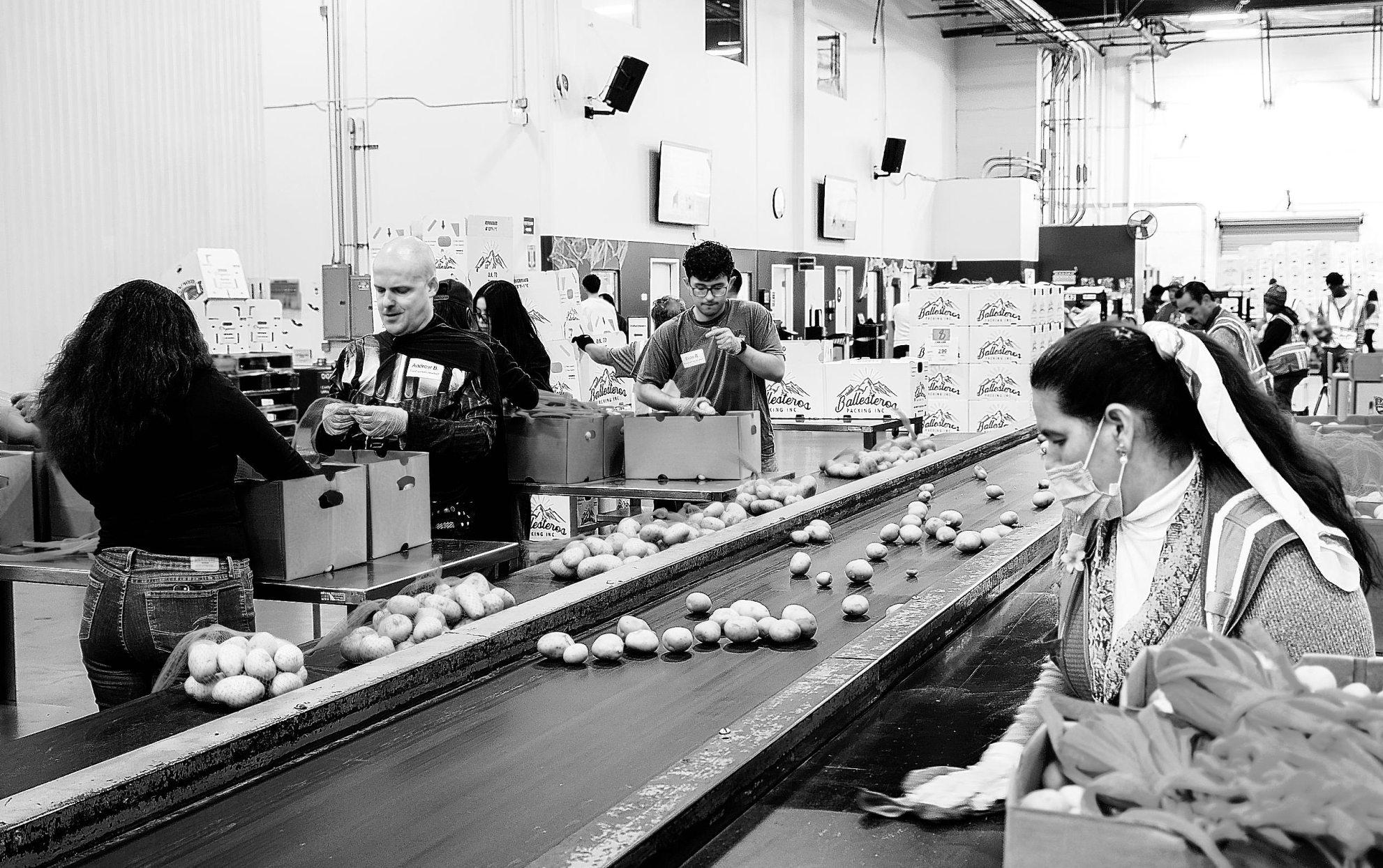 USDA MUST FUND SNAP