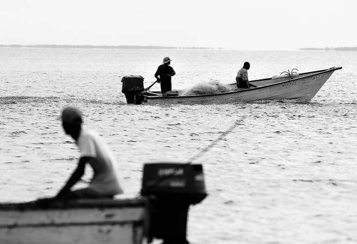 Findings counter Trump’s narco-terrorist claims