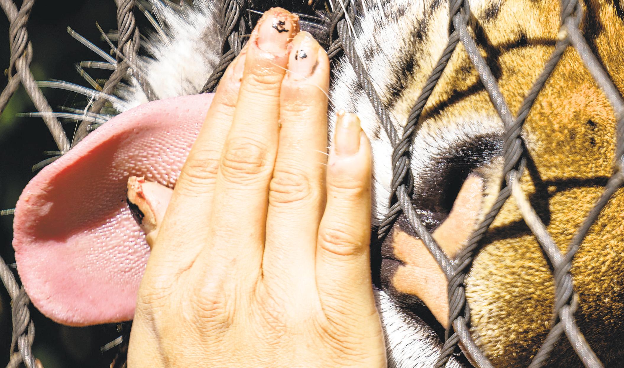 Learning to care for critters