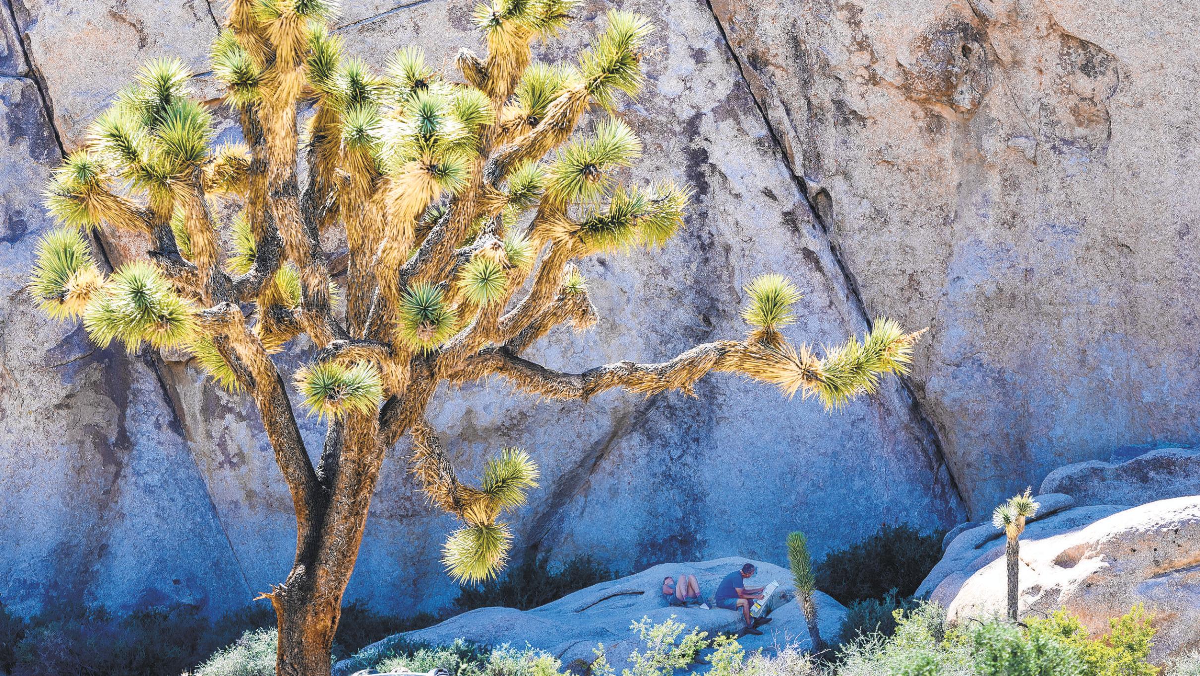 TROUBLE BREWING ON PUBLIC LANDS
