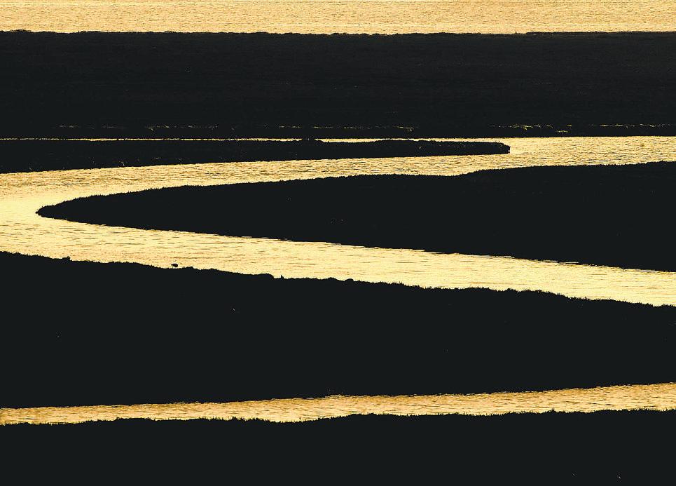 EPA to limit wetland protections