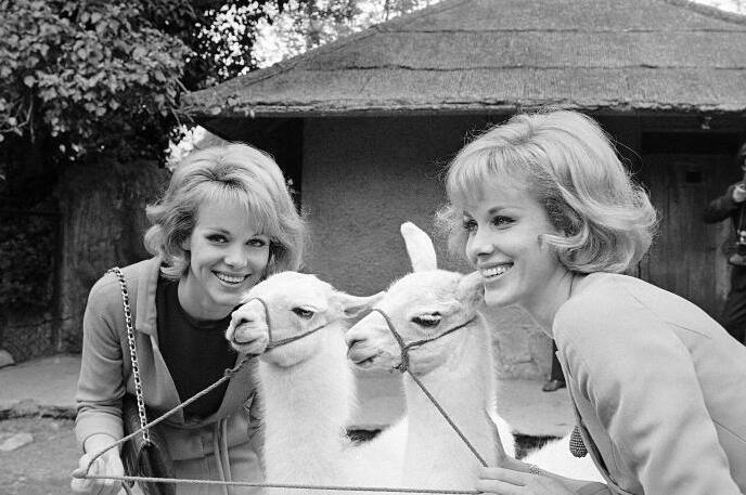 The singer-dancers rose to fame in 1950s