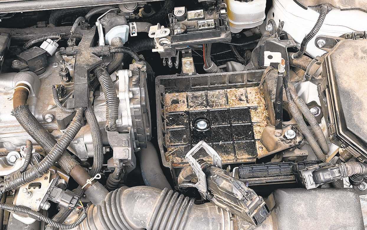 An emergency fund can be a financial safety net