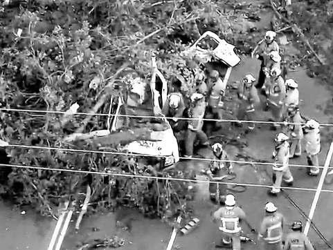 One killed, two cars crushed in Winnetka as Santa Ana winds knock down large tree