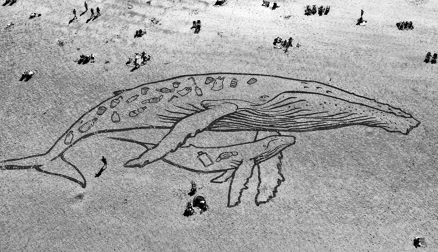 A few bits of plastic are deadly for sea life