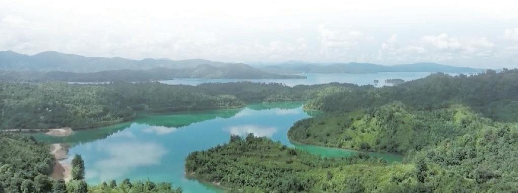 Dual carbon goals serve as guiding force for building Beautiful China: experts