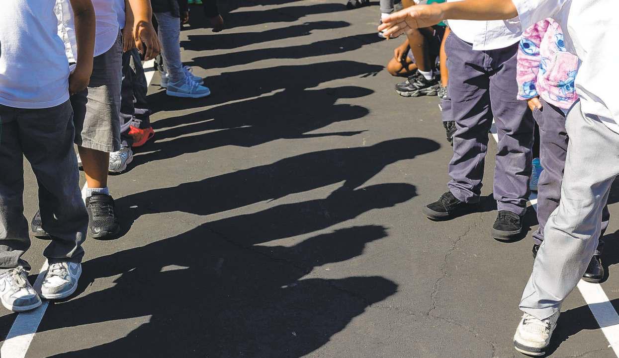 Student rolls across nation are plunging amid ICE raids