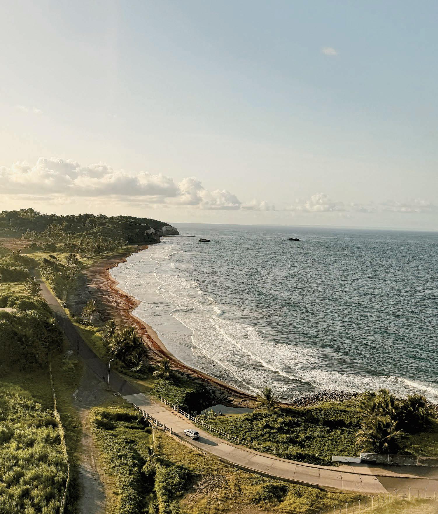 A True Reset on the 'Nature Island'