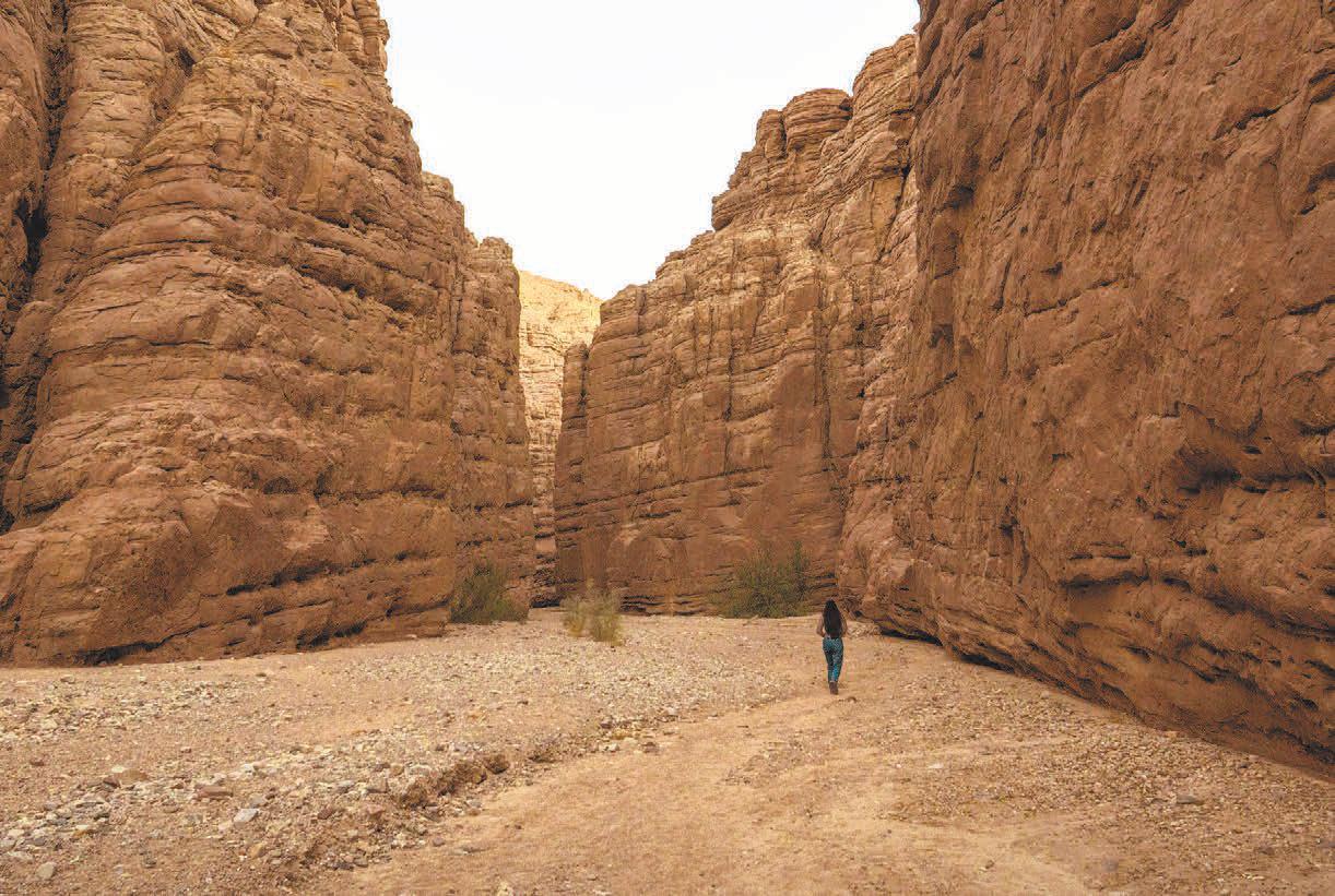 Tribes join forces to guard land