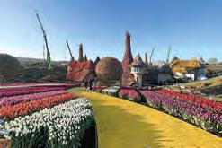 How 'Wicked: For Good' revisits iconic Oz moments