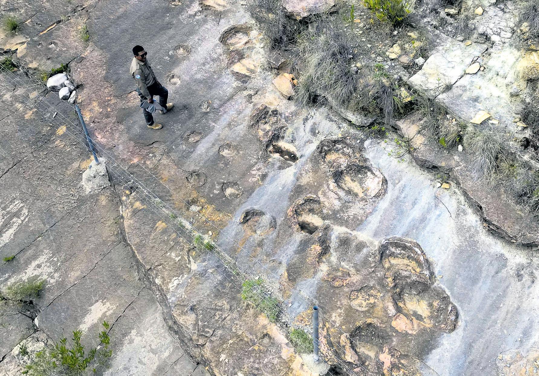 TRACKING 16,600 DINOSAUR FOOTPRINTS