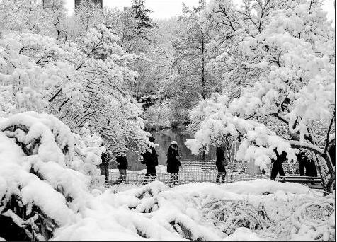 Heavy snow around Northeast; more rain for Pacific Northwest
