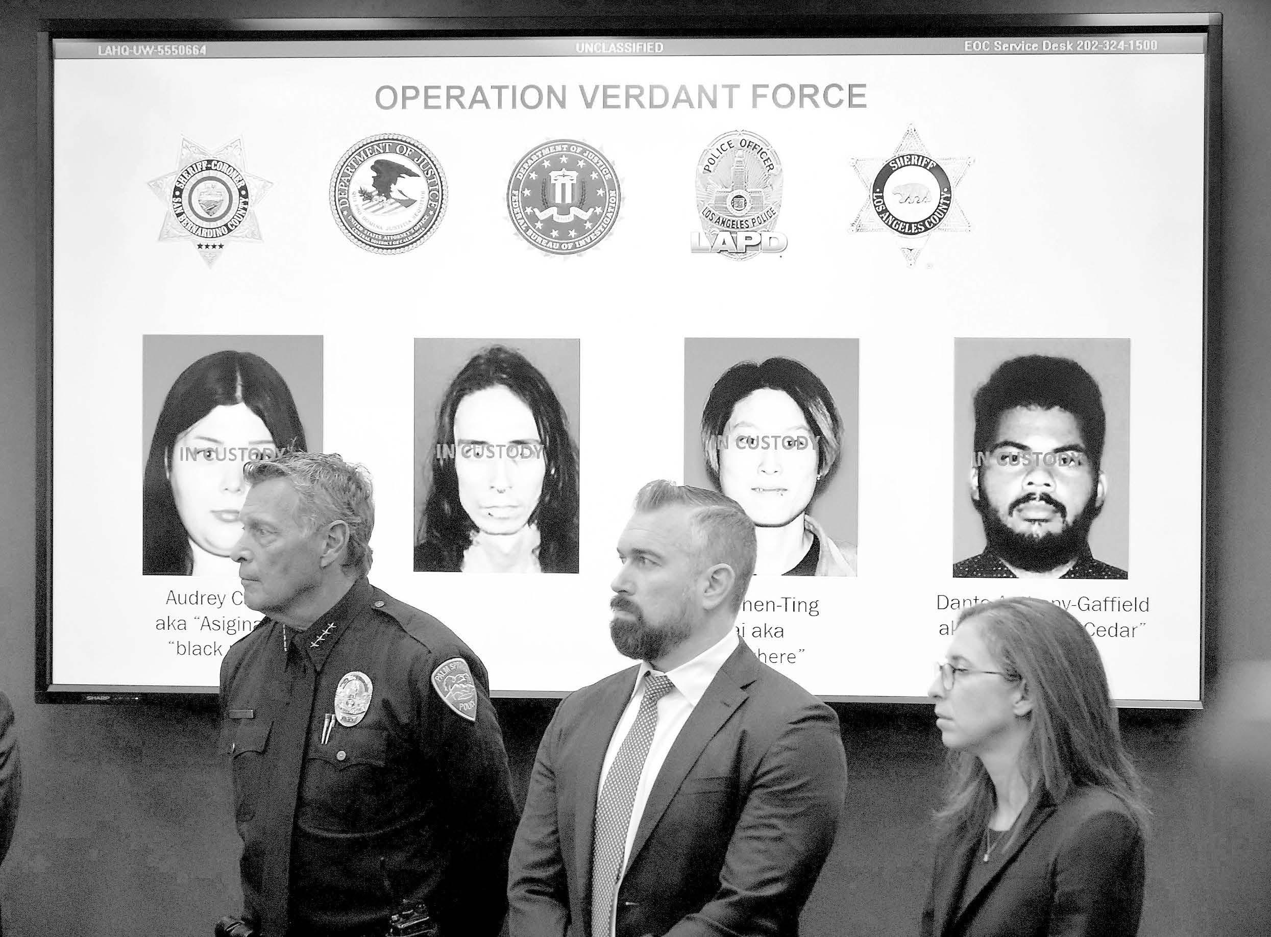 SOCAL ATTACKS FOILED, FEDS SAY