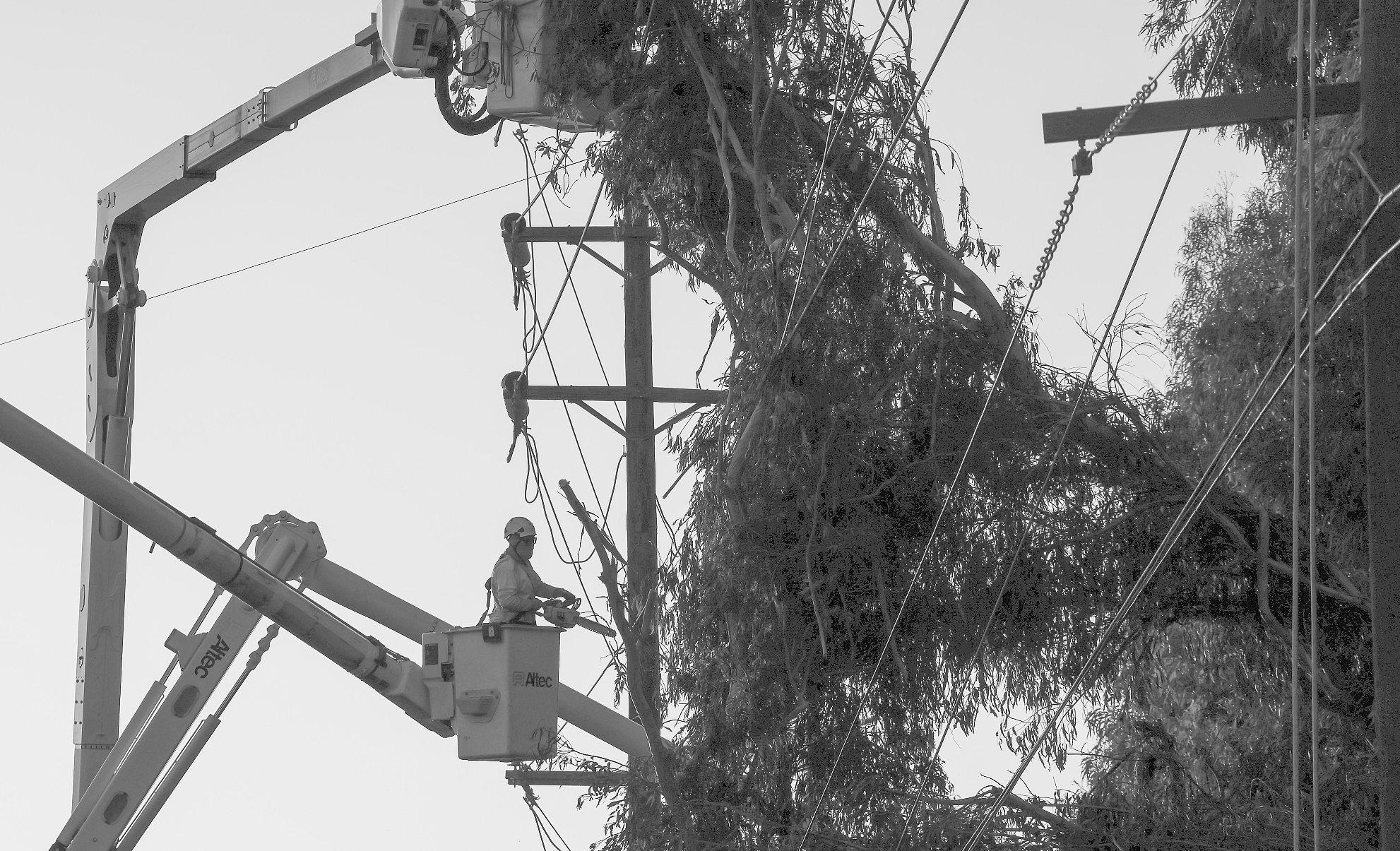 Strong winds down trees, power lines in SoCal