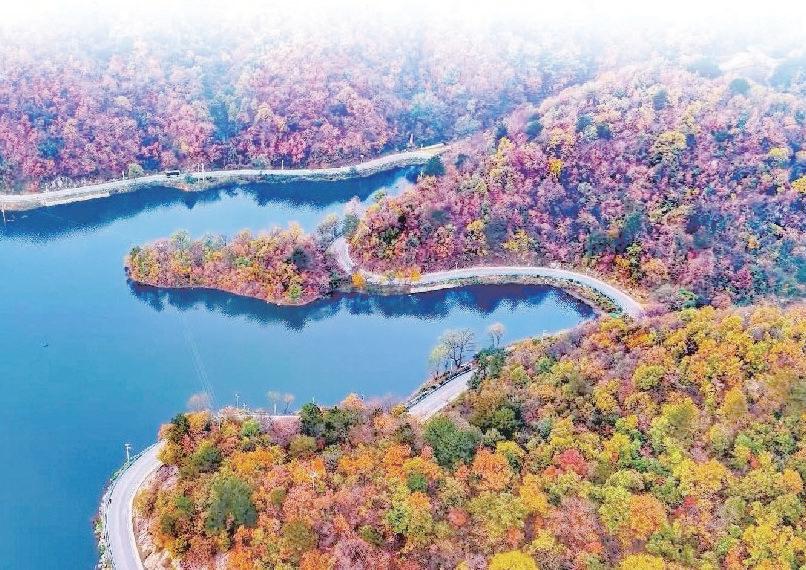 Colorful late autumn foliage lights up China's Longtan River