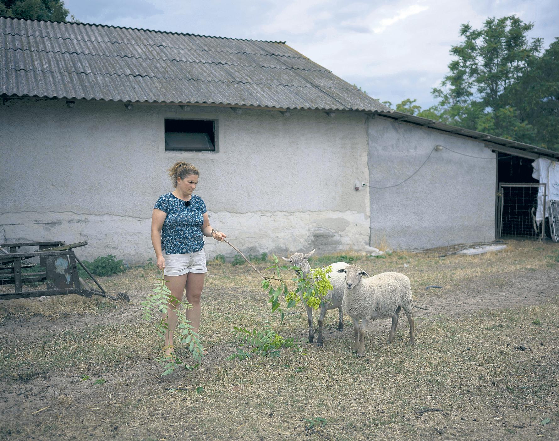 Hungary farmers turn to spa for rejuvenation ... of dry land