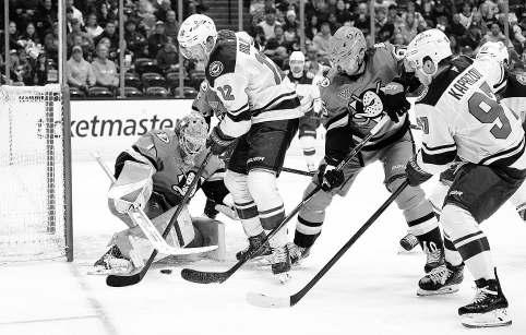 Red-hot Wild deal Ducks fifth loss in row
