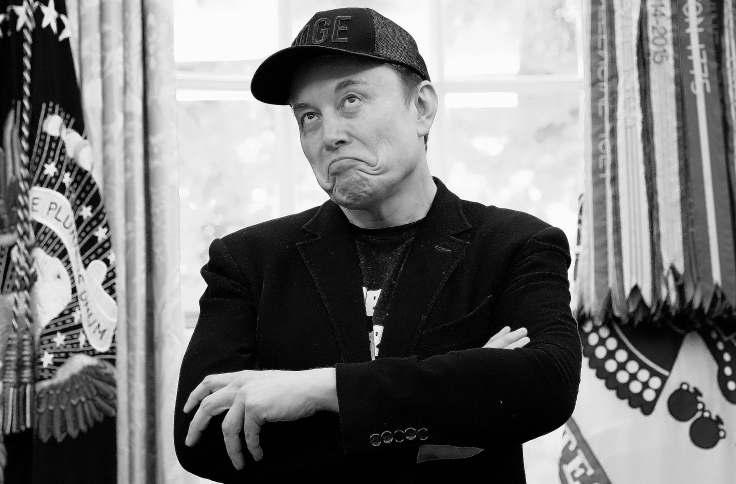 Musk keeps feeding white-grievance machine