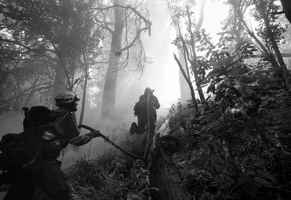 Argentina fires ravage pristine Patagonia forests