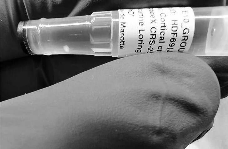 Animal testing is still important