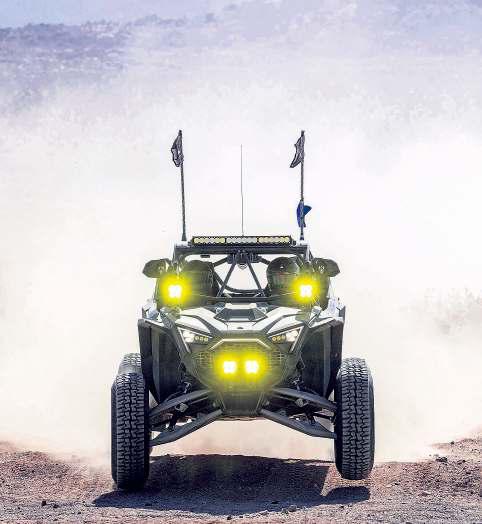 Off-roaders lose to tortoise