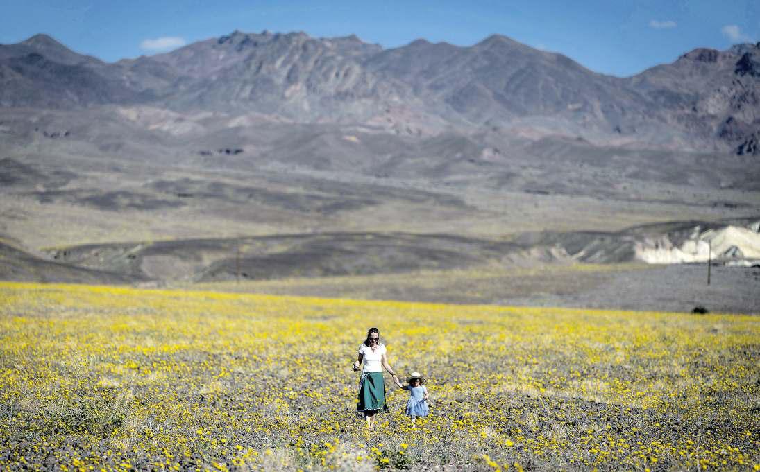 A colorful desert spectacle