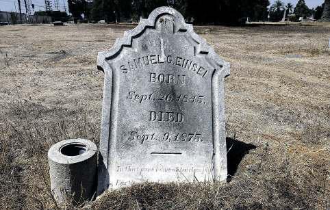 3 dogs are stabbed, 1 fatally, defending historic cemetery