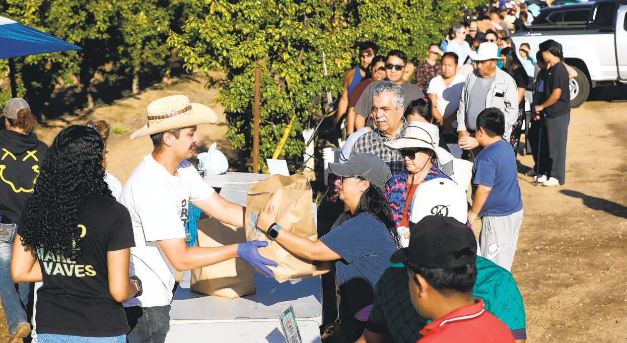 Farmer gives away 182,000 pounds of nectarines