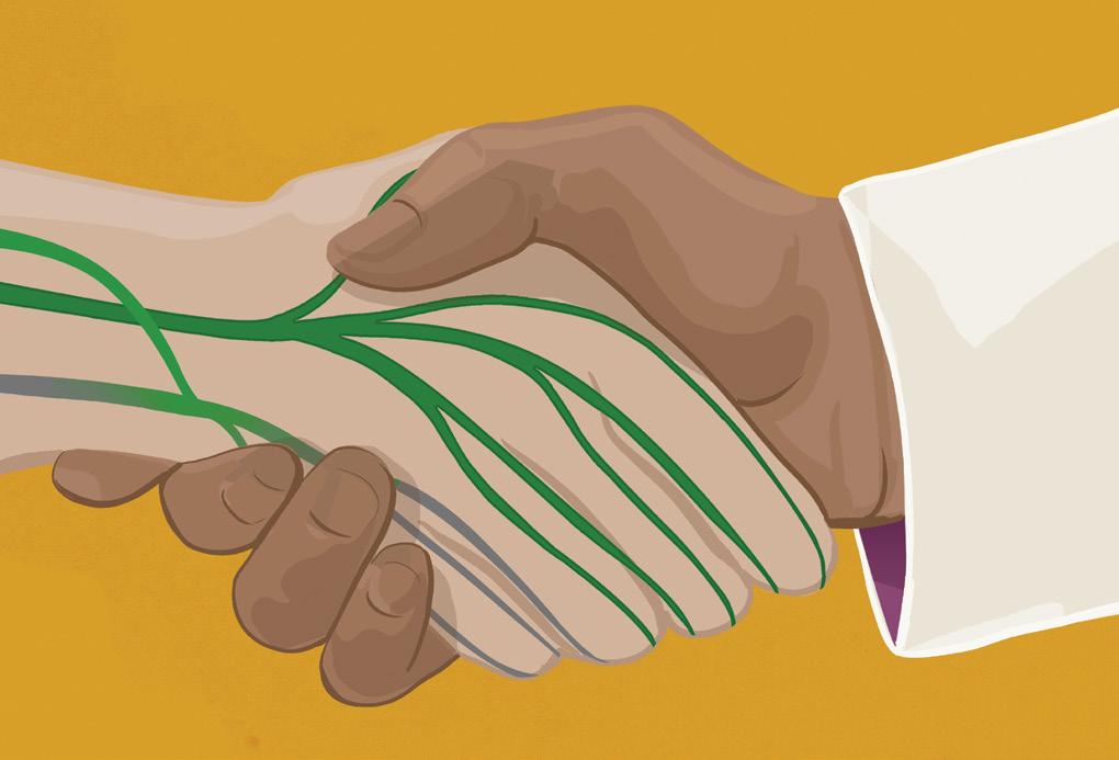 Nerves Do Regenerate