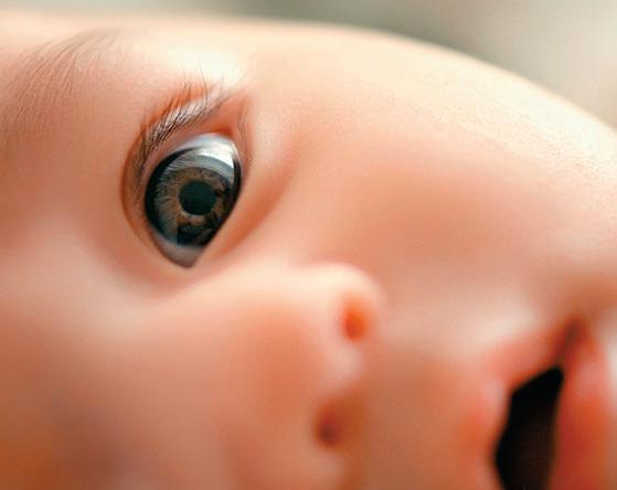 The Myth of the Designer Baby