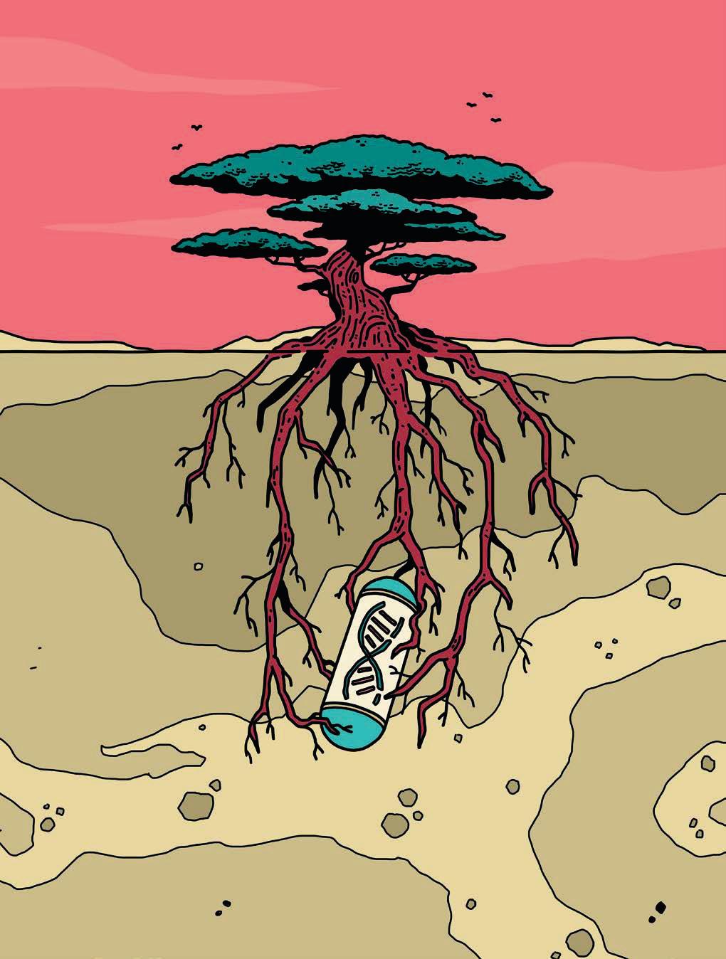 Can a Time Capsule Outlast Geology?