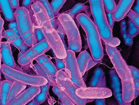 Microbes Afloat