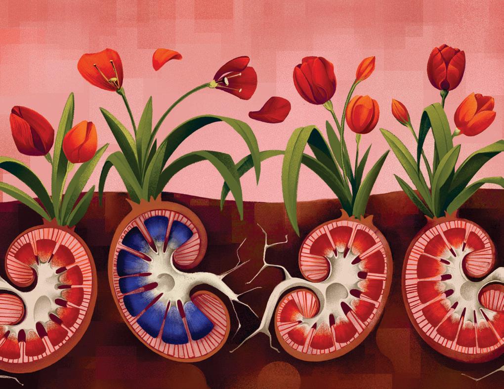 Stopping an Autoimmune Attack
