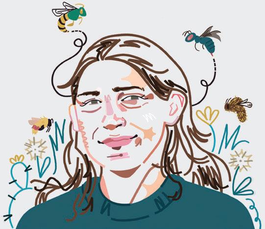 Meet America's Native Bees