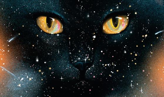 THE SOLILOQUY OF SCHRÖDINGER'S CAT