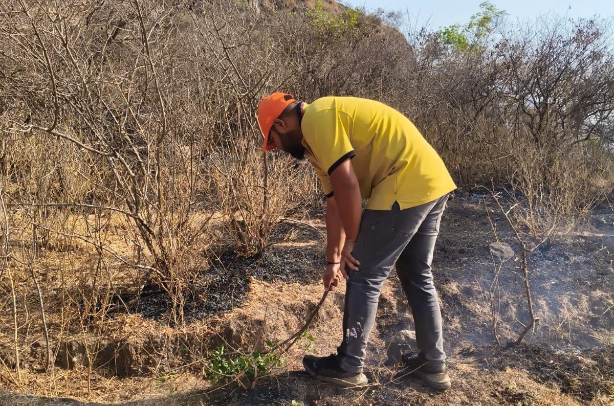 Forest Fire in Ramdara Hills Devastates Trees and Wildlife
