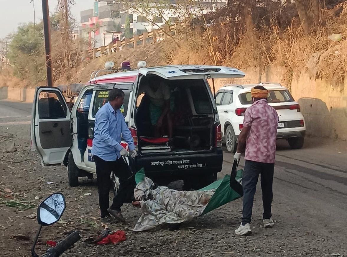 Woman Killed in Stray Dog Attack