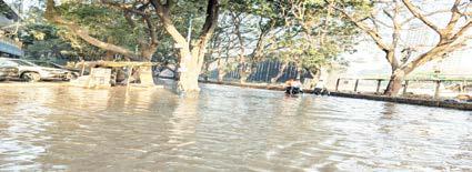 Midnight Canal Disaster Drowns Pune in Chaos