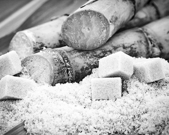 Sugar sector pushes floor price via program