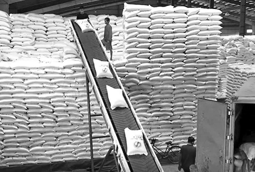 NFA EASES PALAY PROCUREMENT RULES AMID PEAK HARVEST SEASON