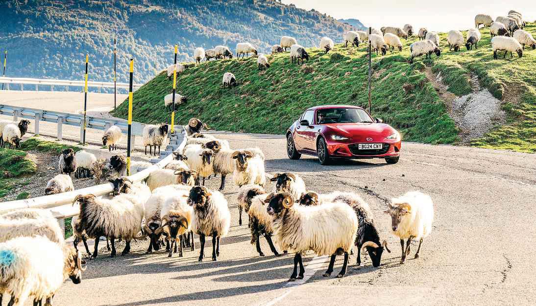 How to hone your 'risk radar' for high-performance driving