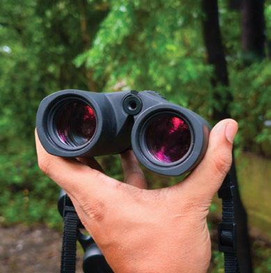 ZEISS CONQUEST HDX 8x32 BINOCULARS A BEGINNER'S LEAP INTO PREMIUM OPTICS