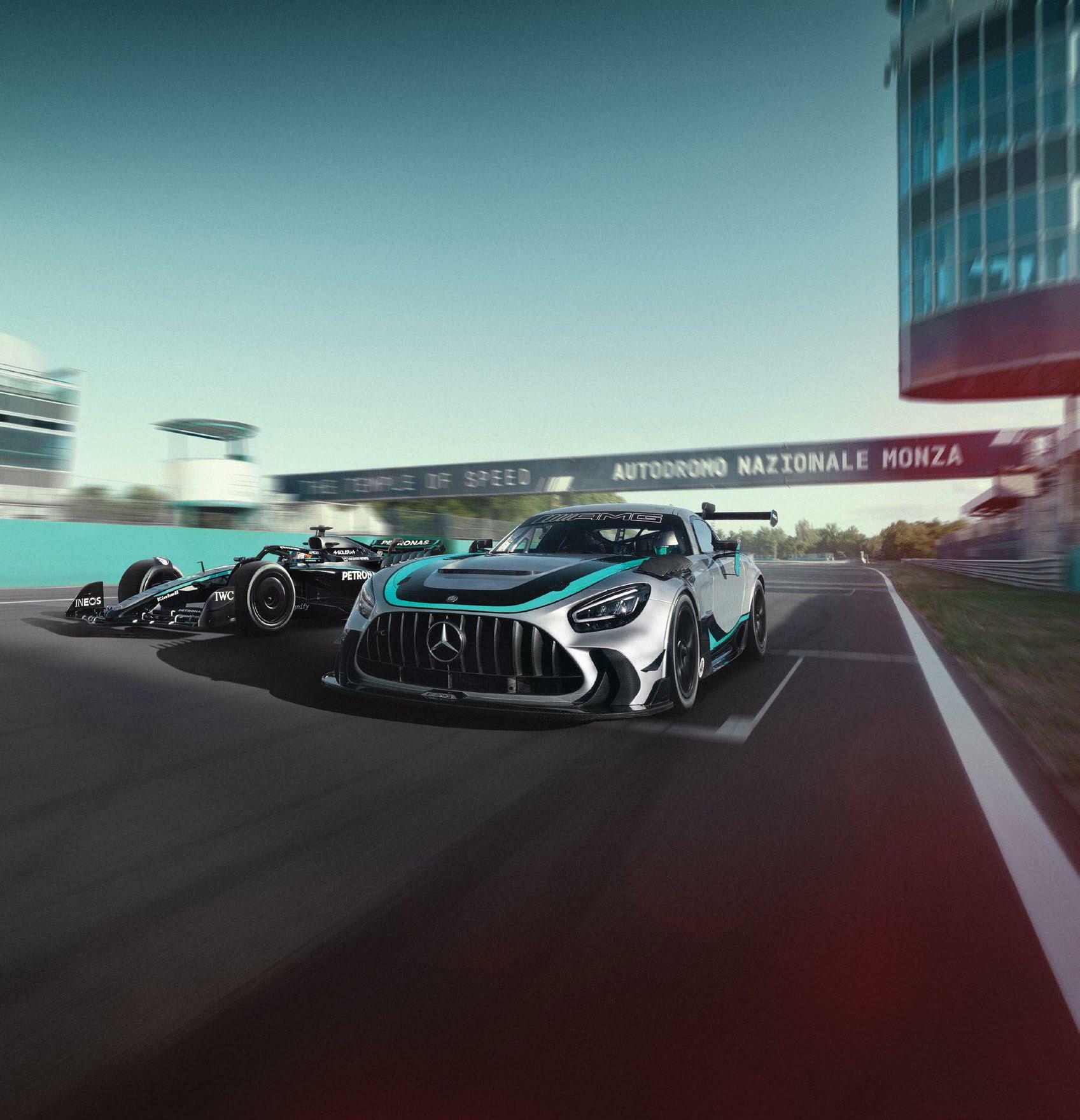 FROM PADDOCK TO PUBLIC