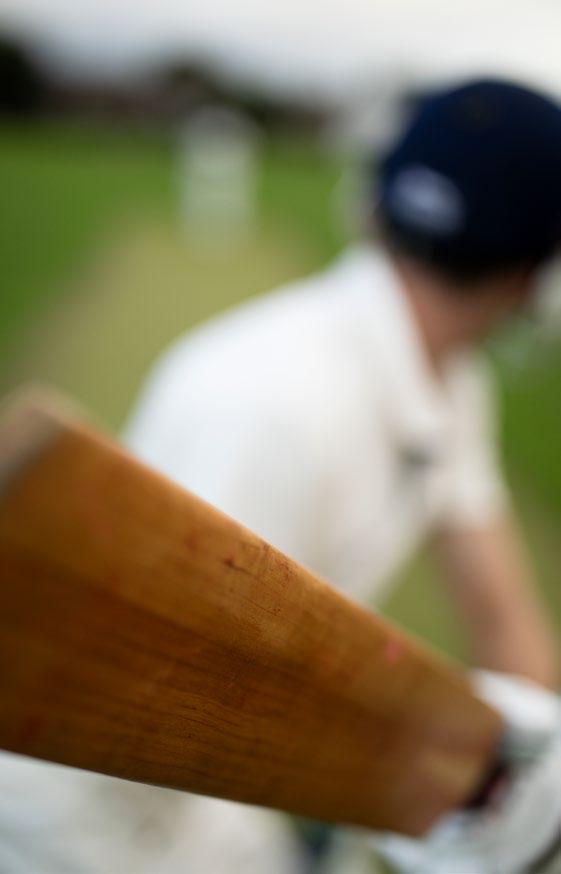 GOOGLE FINALLY TAKES TEST CRICKET FANS SERIOUSLY