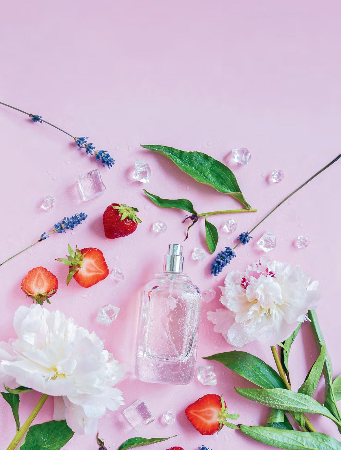 THE BUSINESS OF BEAUTY